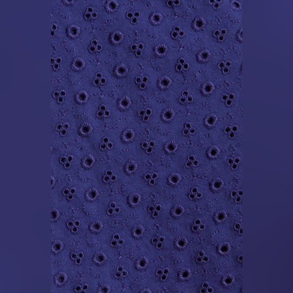 NWT Free People Apricot Rose Puff Sleeve Eyelet Dress in Living Indigo - Picture 9 of 14